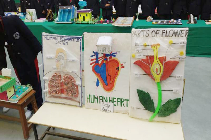 Mount Carmel Convent School-Science Fare