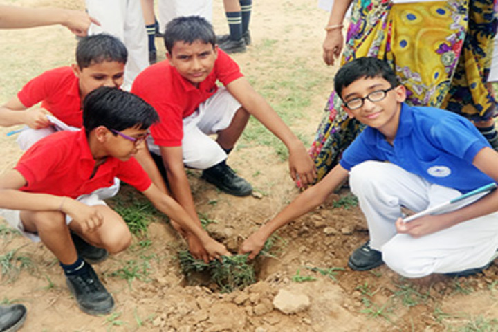 Mount Litera Zee School-Plantation