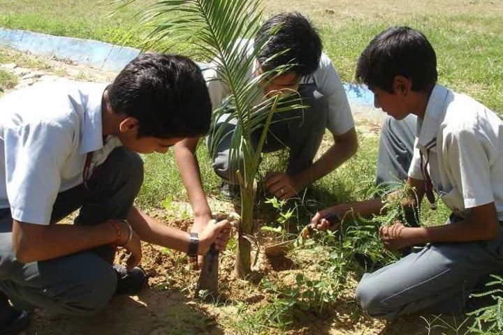 National Academy Day Boarding English-Tree Plant