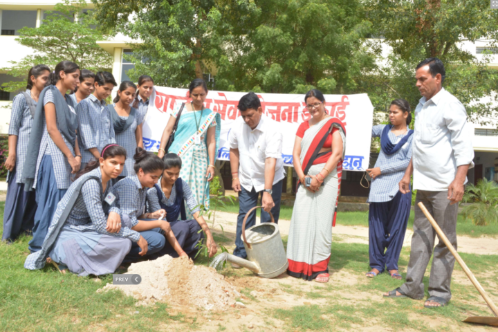 New Rajasthan Public School-Plantation