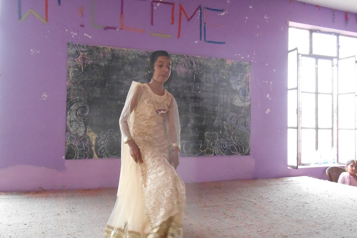 New Rajasthan Public School-Dances