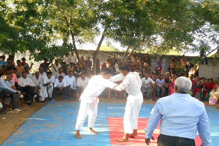 New Rajasthan Public School-Karate