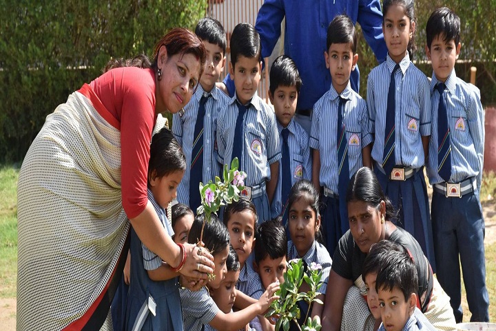 New Rajasthan Public School-Plantations