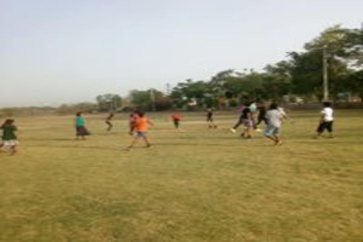 Noble International School-Play ground