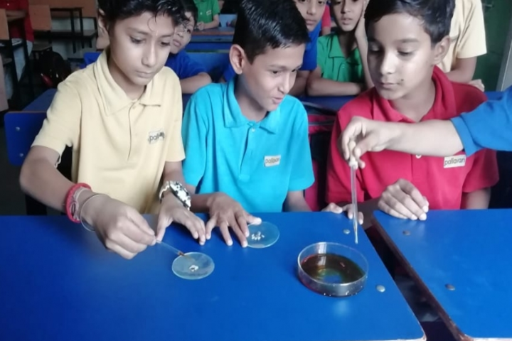 Pallavan Uchatar Prathmik Vidyalaya-Biology Lab