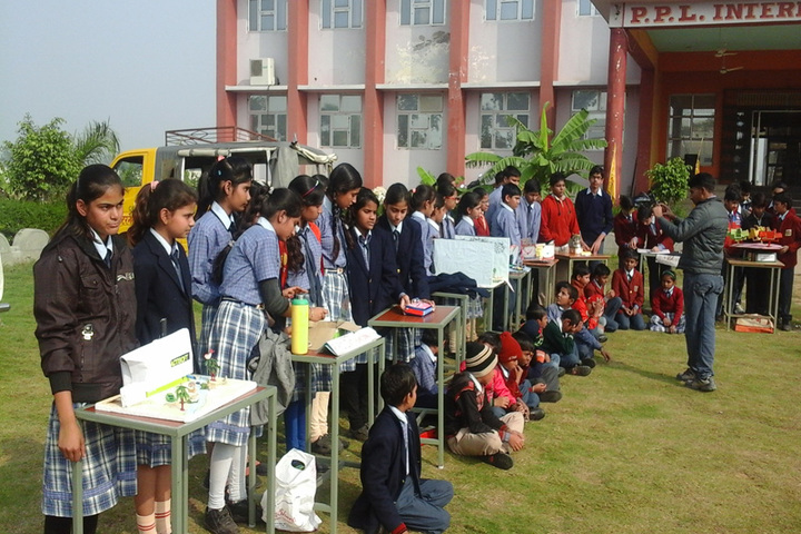 Pt Parsadi Lal International School-Science Exhibition