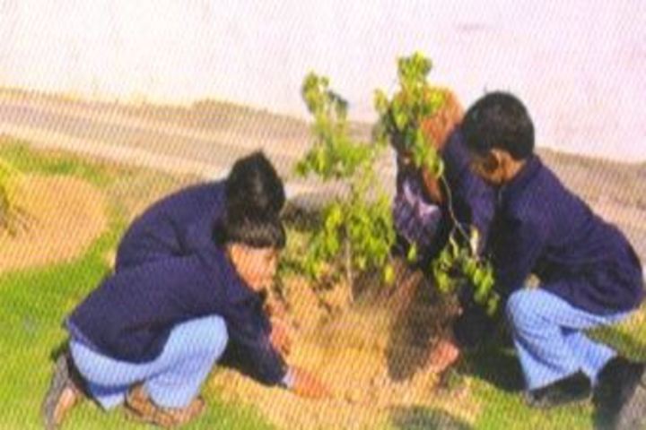 Rishi Galav Convent School-Plantation