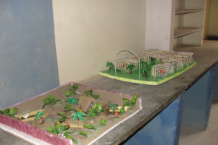 S R International Academy-Exhibition