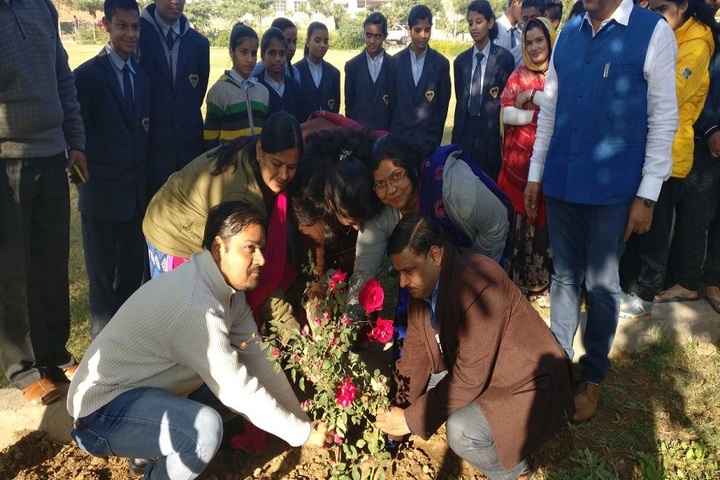 S Tech School-Plantation Activity