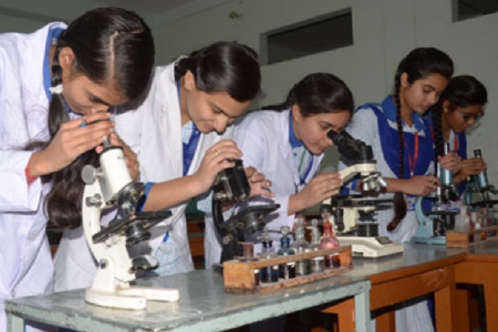Saint Soldier Public School-Biology Lab
