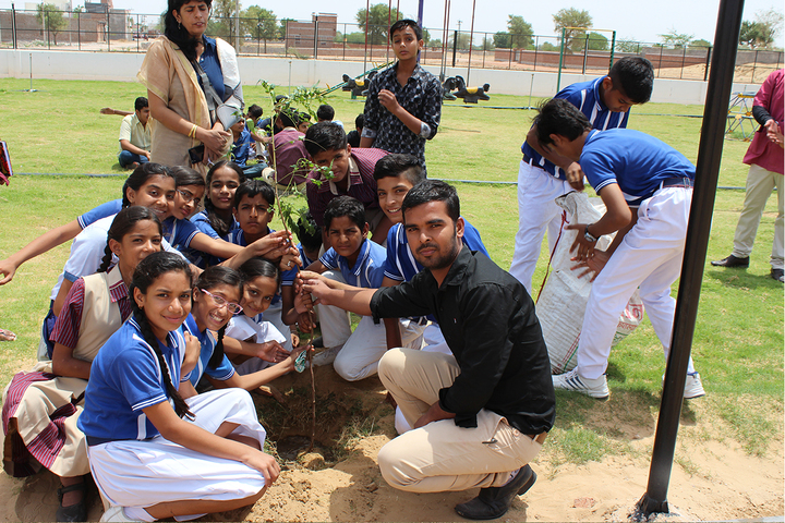 Sanskar International Public School-Plantation Activity