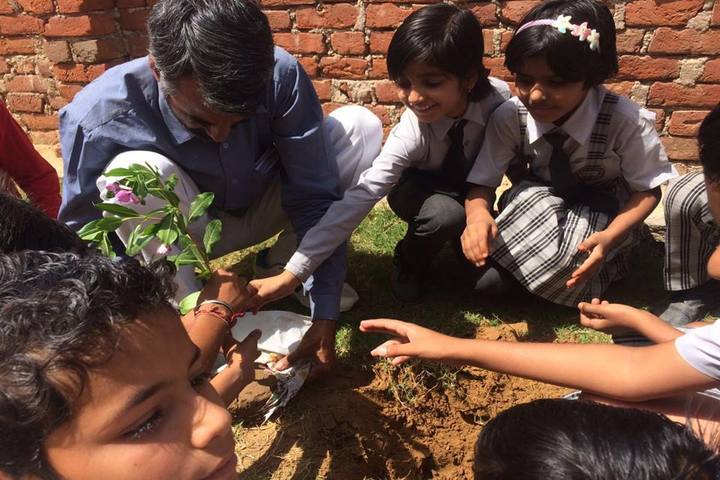 SBS Convent School-Plantation