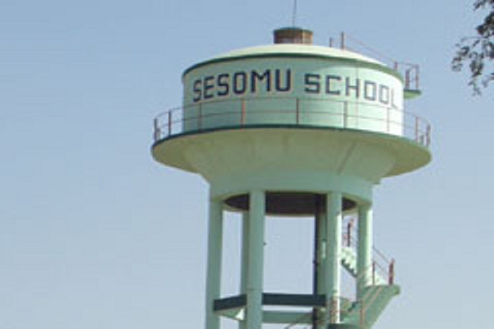 Sesomu School-School Tank