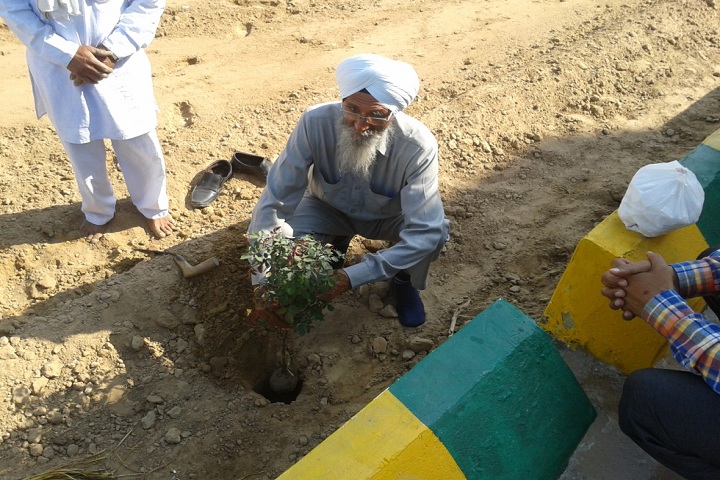 Sherwood Public School-Others plantation