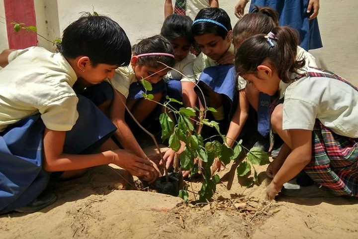 Shiksha High School-Others plantation