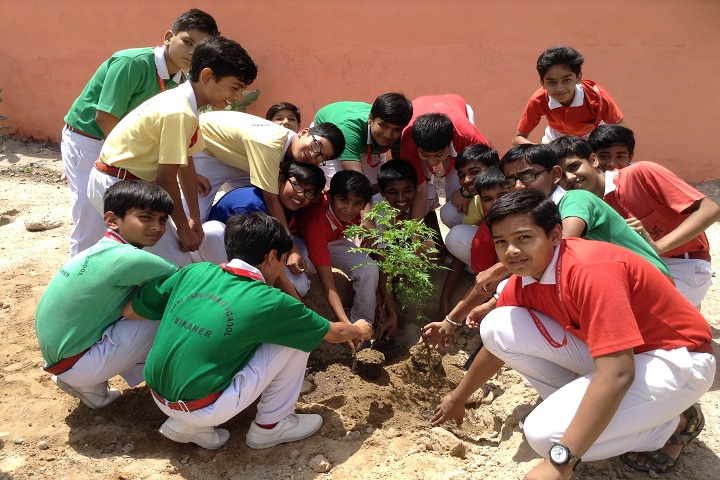 Shri Jain Adarsh Vidya Niketan-Others plantation