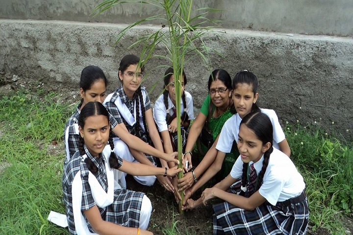 Sigma School Of Excellence-Others plantation