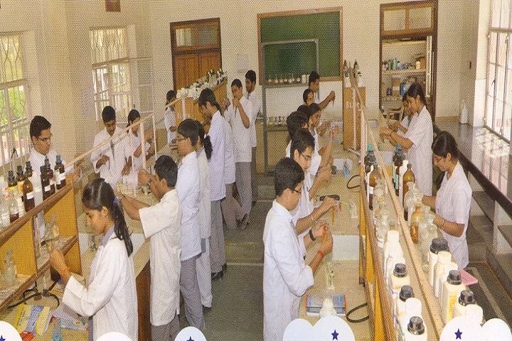 St AnselmS Pink City School-Laboratory