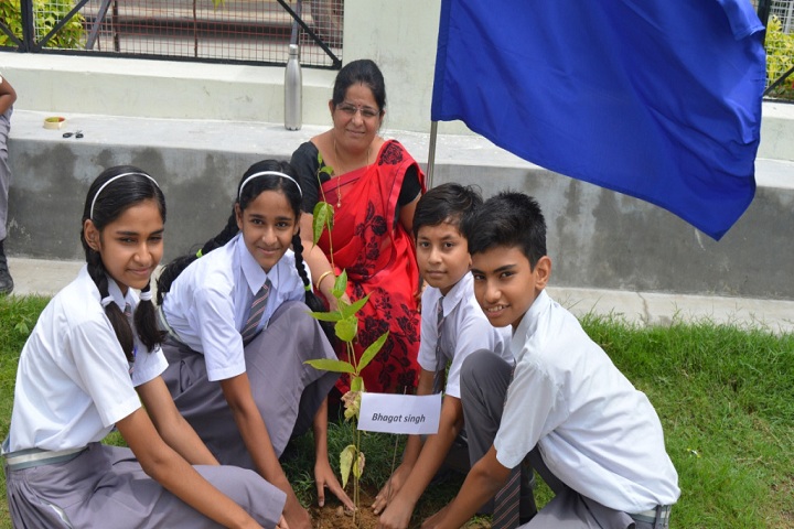 St Anselms English Medium School-Others plantation