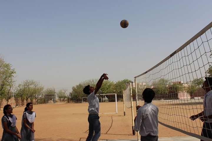 St Anselms Senior Secondary School-Sports vollyball