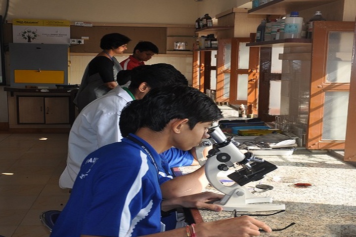 St PaulS School-Laboratory biology