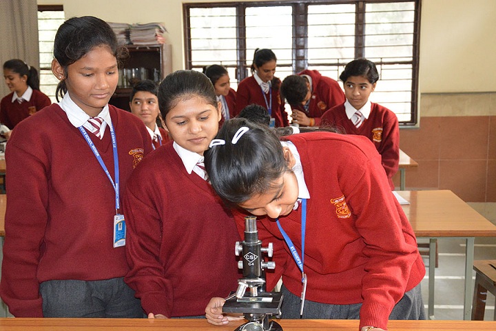 St XavierS School-Laboratory biology