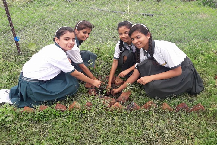 St JosephS International School-Others plantation