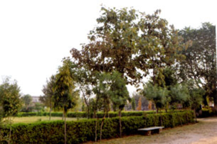 Star City International School-Garden