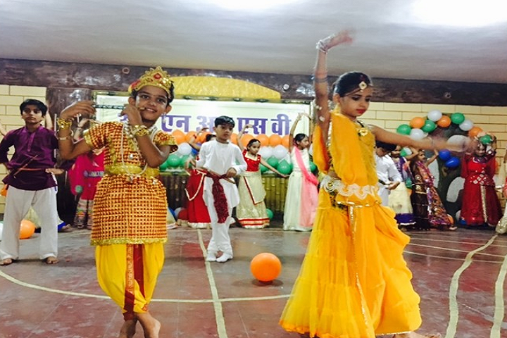 Swami Ram Narayan Rsv School-Events celebration