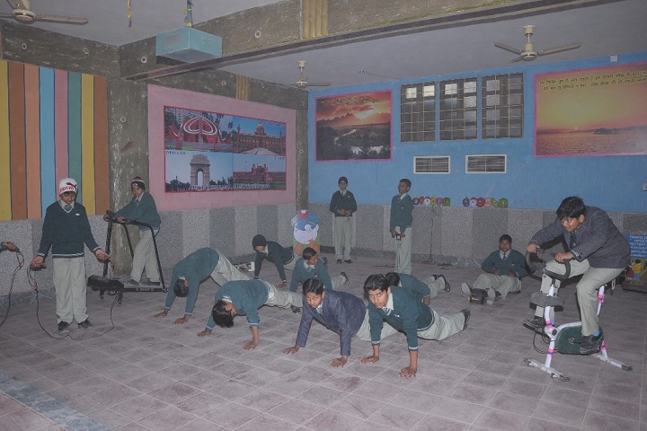 Swami Ram Narayan Rsv School-Gymnasium