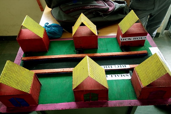 Swami Vivekanand Government Model School-Exhibition