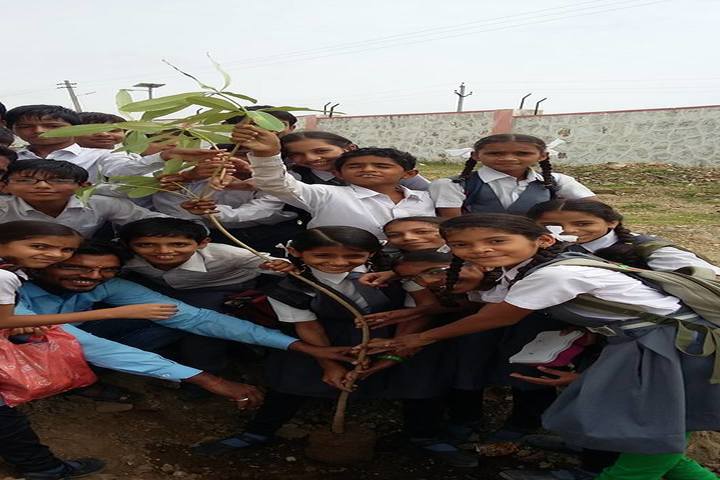 Swami Vivekanand Government Model School-Tree-Plantation