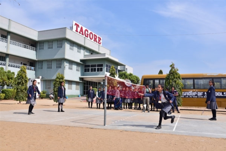 Tagore Public Senior Secondary School-Play Ground