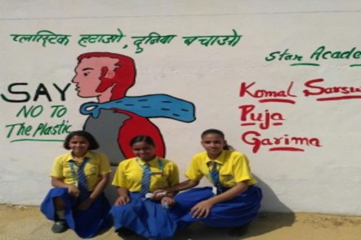 The Star Academy Sansthan-Art