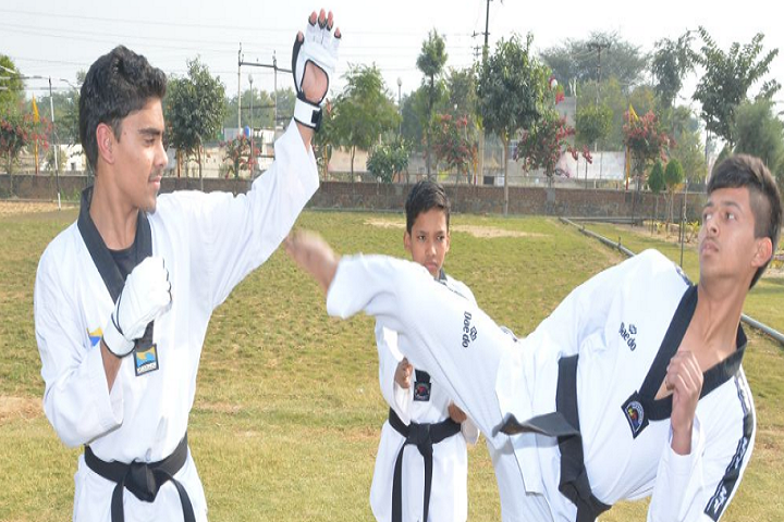 The Tagore School-Karate
