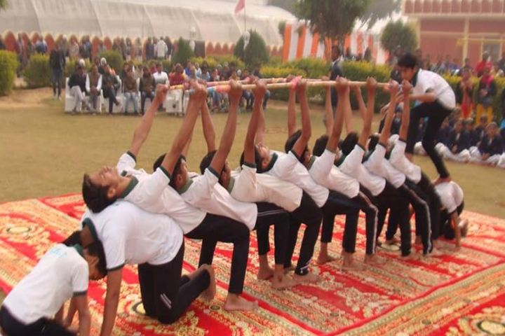 The Trigat School-Activity