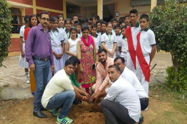 The Trigat School-Tree Plantation