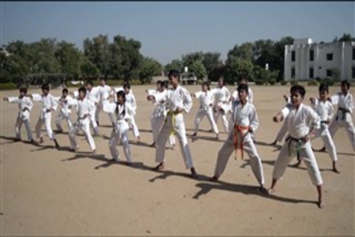 Vidya Gram International School-Karate
