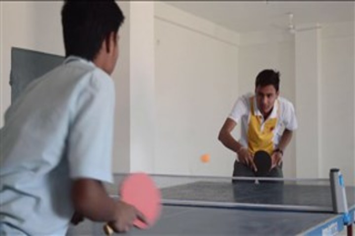 Vidya Gram International School-Indoor Games
