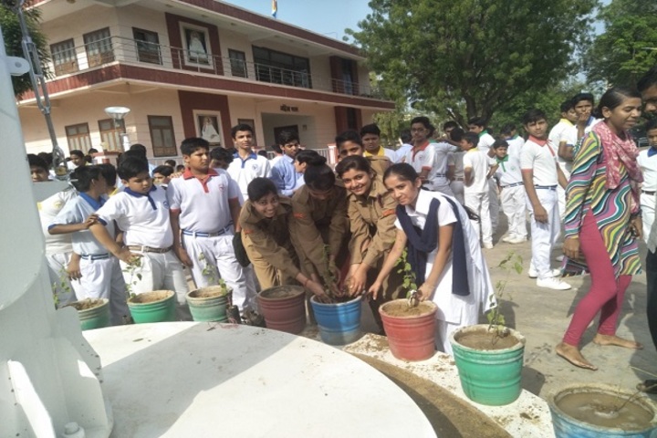 Vimal Vidya Vihar Senior Secondary School-Plantation