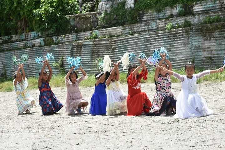 Government Senior Secondary School-Dance