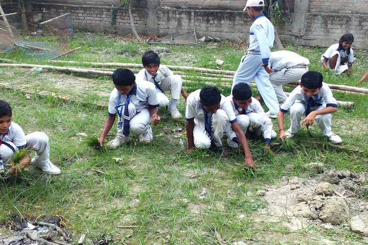 Mother Teresa Vidyapeeth-Swachh Bharath