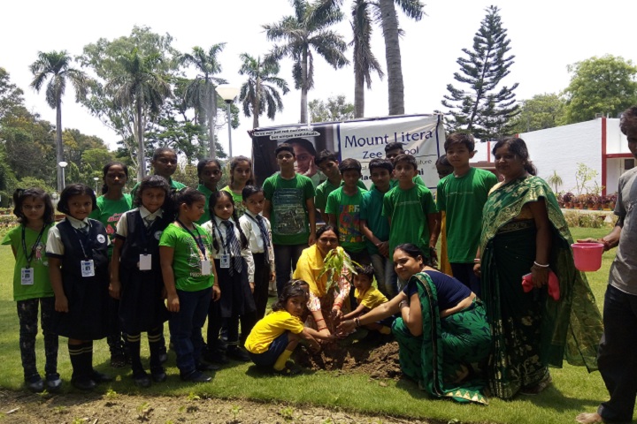 Mount Litera Public School- World Population Day