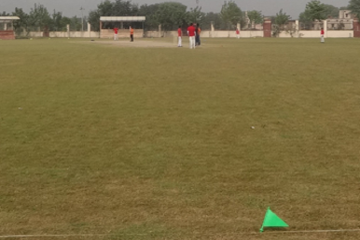 Mount Litera Public School-School Ground
