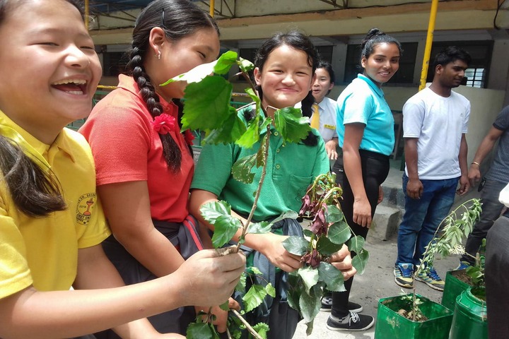 Government Senior Secondary School-Environment Day