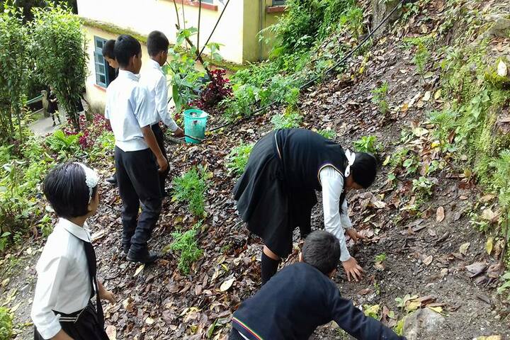 Government Senior Secondary School-Swatchbharath