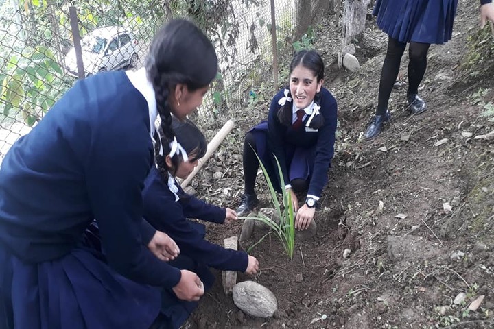 Government Senior Secondary School-Environment Day