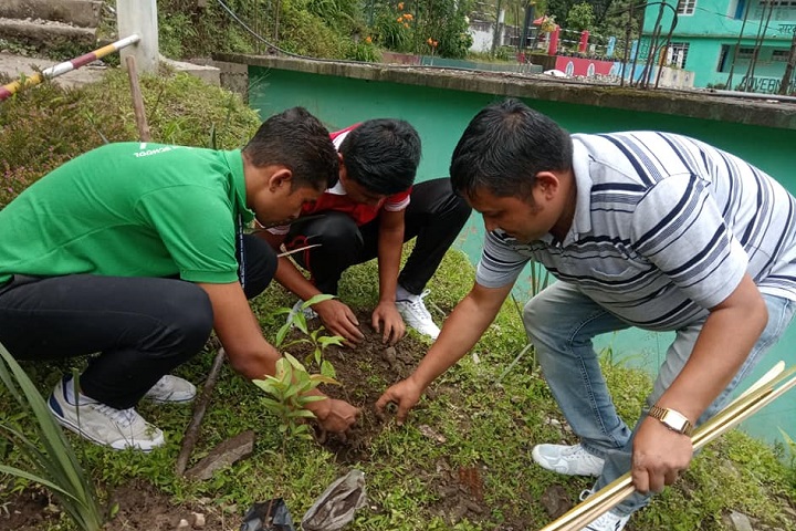 Government Senior Secondary School-Plantation