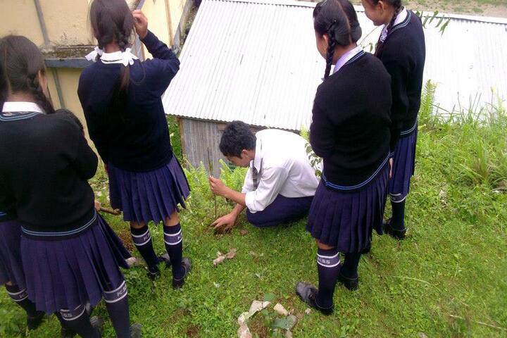 Government Senior Secondary School-World Environment Day