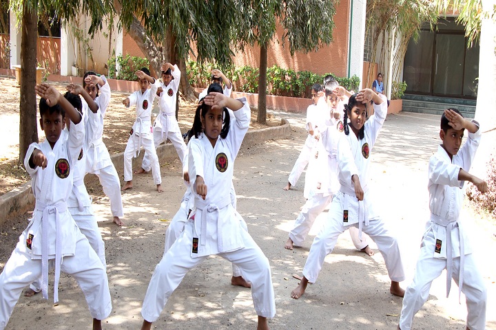 Akg Public School-Karate